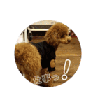 小麦のこむたん3（個別スタンプ：27）