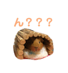 女子力高めなぷりんちゃん2（個別スタンプ：5）