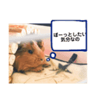 女子力高めなぷりんちゃん2（個別スタンプ：8）