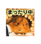 女子力高めなぷりんちゃん2（個別スタンプ：14）