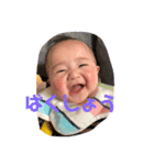 樹璃（個別スタンプ：1）