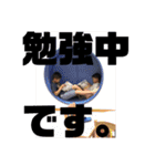 柳川家のスタンプ（個別スタンプ：15）