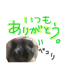 ハムすたンプ その② (まったり編)（個別スタンプ：4）