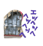ハムすたンプ その② (まったり編)（個別スタンプ：5）