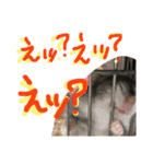 ハムすたンプ その② (まったり編)（個別スタンプ：7）