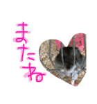 ハムすたンプ その② (まったり編)（個別スタンプ：14）