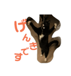 くろねこはなちゃん2（個別スタンプ：4）