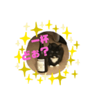 くろねこはなちゃん2（個別スタンプ：8）
