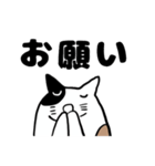 ねこのブチちゃん。（個別スタンプ：6）