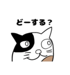ねこのブチちゃん。（個別スタンプ：12）