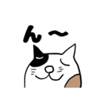 ねこのブチちゃん。（個別スタンプ：14）