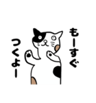 ねこのブチちゃん。（個別スタンプ：17）