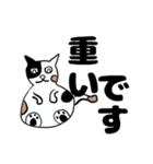 ねこのブチちゃん。（個別スタンプ：20）