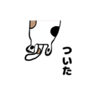 ねこのブチちゃん。（個別スタンプ：21）