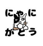 ねこのブチちゃん。（個別スタンプ：31）