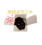RUKEスタンプ（個別スタンプ：7）