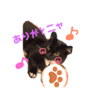 RUKEスタンプ（個別スタンプ：8）