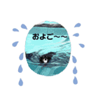 ミニダックスのももちゃん（個別スタンプ：16）