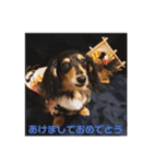 ミニダックスのももちゃん（個別スタンプ：23）