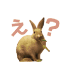 きなきなきなこの気持ち2（個別スタンプ：2）