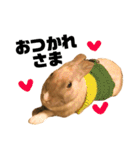 きなきなきなこの気持ち2（個別スタンプ：13）