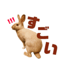 きなきなきなこの気持ち2（個別スタンプ：16）