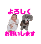 ななたんすたんぷ（個別スタンプ：5）