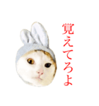 かわいいかわいいサンチュちゃんスタンプ（個別スタンプ：8）