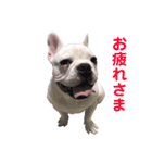 フレブルくーすけ2（個別スタンプ：5）