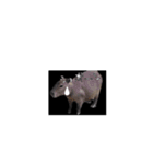 カピパラ（日常会話2）（個別スタンプ：13）