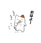 ましゅねこ 1（個別スタンプ：30）