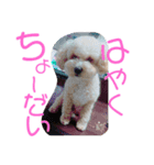 まめぞうとかん吉（個別スタンプ：1）