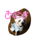 まめぞうとかん吉（個別スタンプ：13）