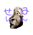 まめぞうとかん吉（個別スタンプ：16）