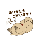 日常で使える♪ うちの！はなさんスタンプ（個別スタンプ：2）