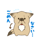 日常で使える♪ うちの！はなさんスタンプ（個別スタンプ：3）