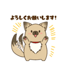 日常で使える♪ うちの！はなさんスタンプ（個別スタンプ：6）