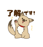 日常で使える♪ うちの！はなさんスタンプ（個別スタンプ：8）
