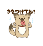 日常で使える♪ うちの！はなさんスタンプ（個別スタンプ：12）