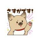 日常で使える♪ うちの！はなさんスタンプ（個別スタンプ：19）