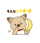 日常で使える♪ うちの！はなさんスタンプ（個別スタンプ：24）