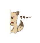 日常で使える♪ うちの！はなさんスタンプ（個別スタンプ：26）