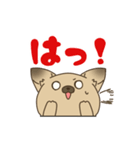日常で使える♪ うちの！はなさんスタンプ（個別スタンプ：30）