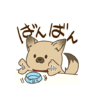 日常で使える♪ うちの！はなさんスタンプ（個別スタンプ：38）