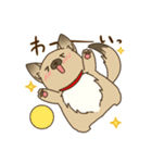 日常で使える♪ うちの！はなさんスタンプ（個別スタンプ：40）