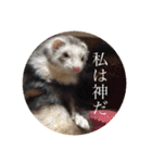 ふぇれはむず3（個別スタンプ：2）
