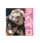 ふぇれはむず3（個別スタンプ：3）