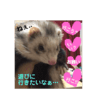 ふぇれはむず3（個別スタンプ：4）
