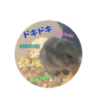 ふぇれはむず3（個別スタンプ：8）
