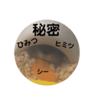 ふぇれはむず3（個別スタンプ：9）